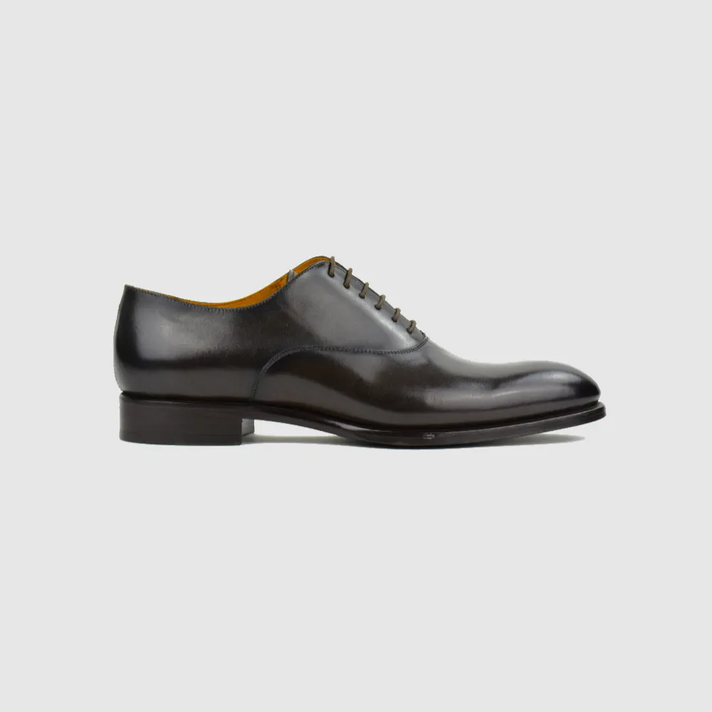 Oxford Plain  BOWIE testamoro – Testa di Moro – Bild 1 von 5